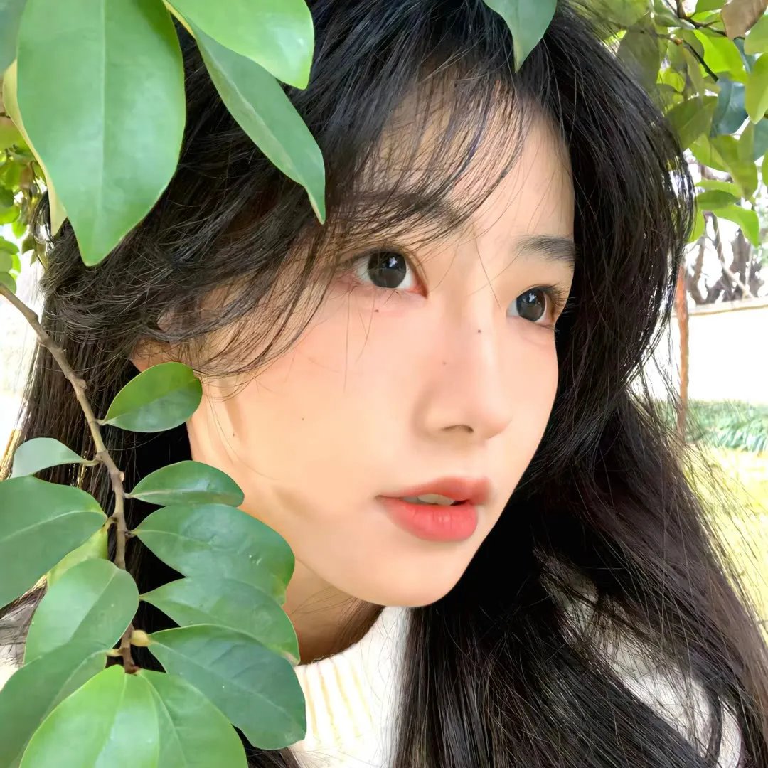 妙手仁心